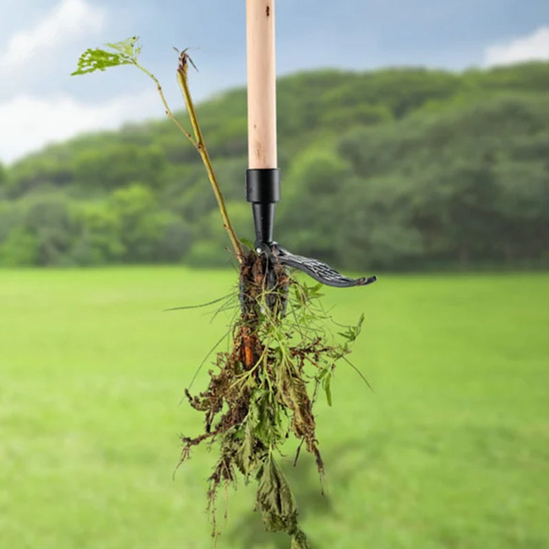 EasyWeed: Ultieme Onkruidverwijderaar